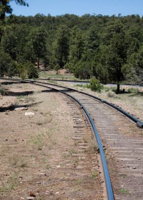 291436_10150957485520496_867332852_o