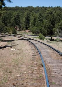 291436_10150957485520496_867332852_o