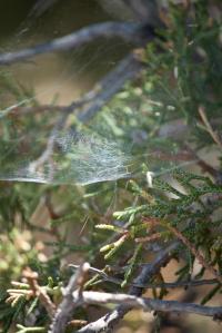 331683_10150957490550496_1220183791_o