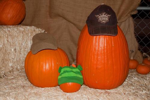 178610_10151079181450496_178895070_o